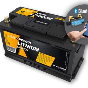 CS-Batteries 100Ah | 12,8V | 1280Wh | Lithium LiFePO4 Caravan Batterie | zusätzlicher 300A Bluetooth-Mess-Shunt - Untersitzbatterie